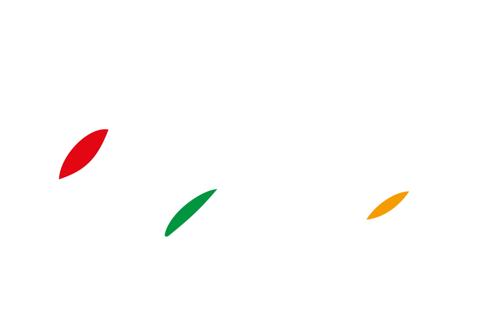 ORQUESTA DE MUSICA POPULAR RAICES